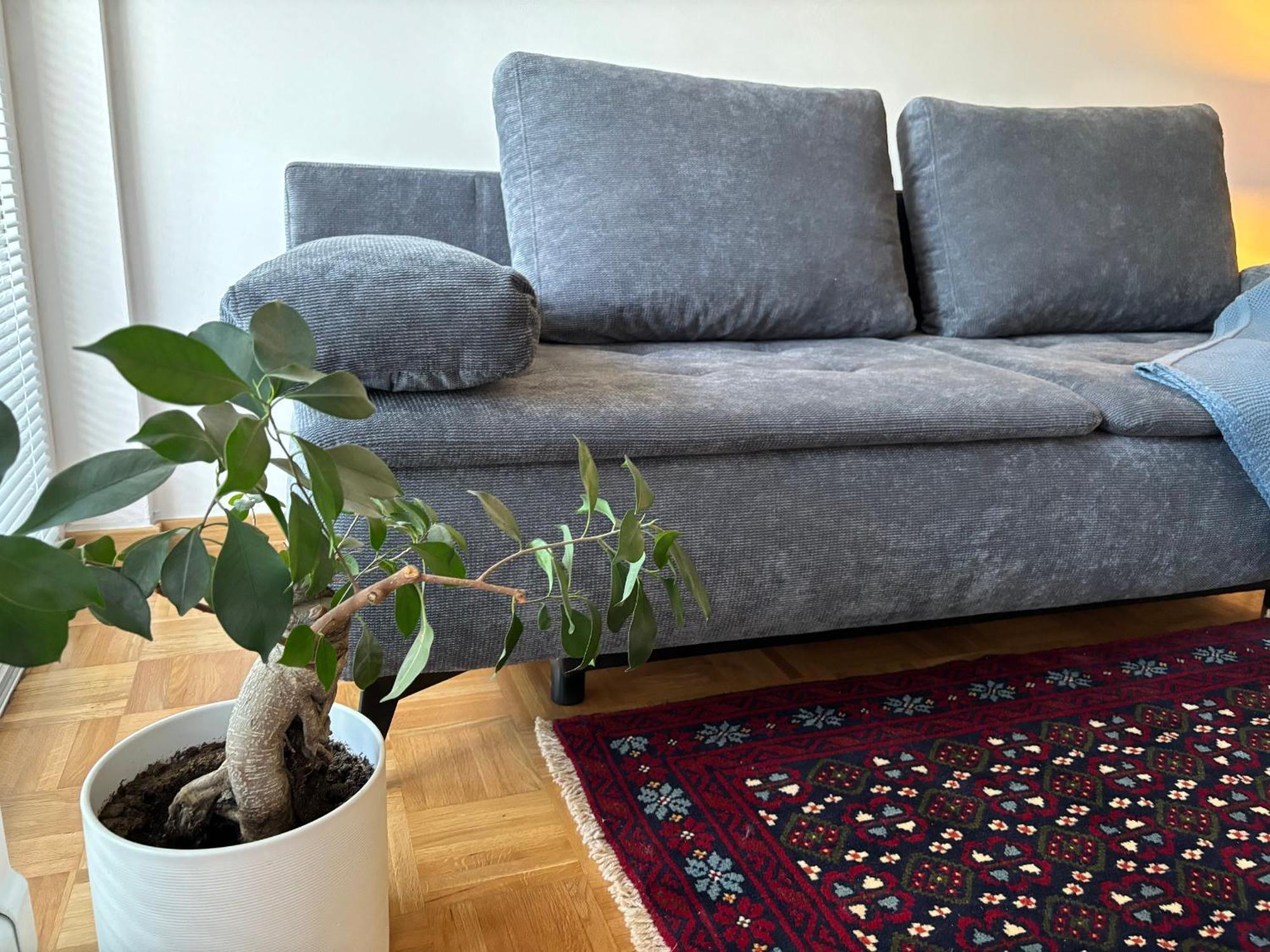 Ljubljanica Apartment Любляна Экстерьер фото